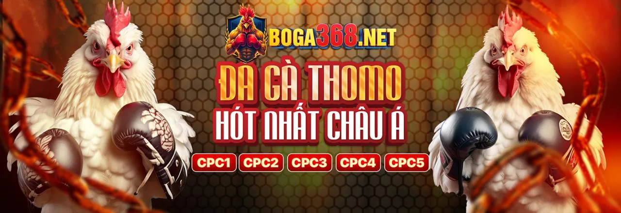 Hình ảnh đại diện cho an toàn nền tảng đá gà trực tuyến với các biểu tượng bảo mật và gà đá