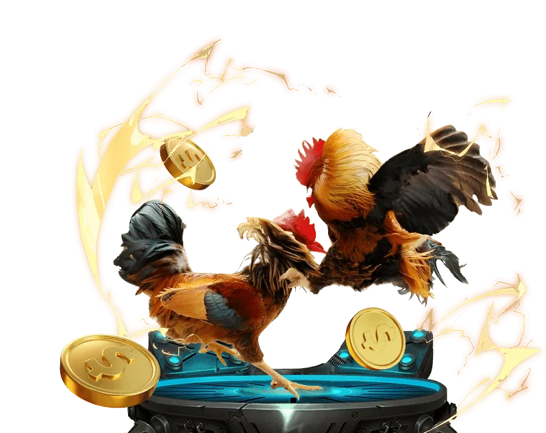 Cách xem Trực tiếp Gà Thomo